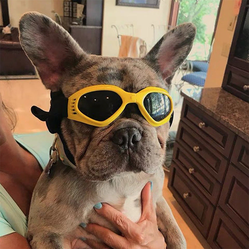 Chief Goggles
